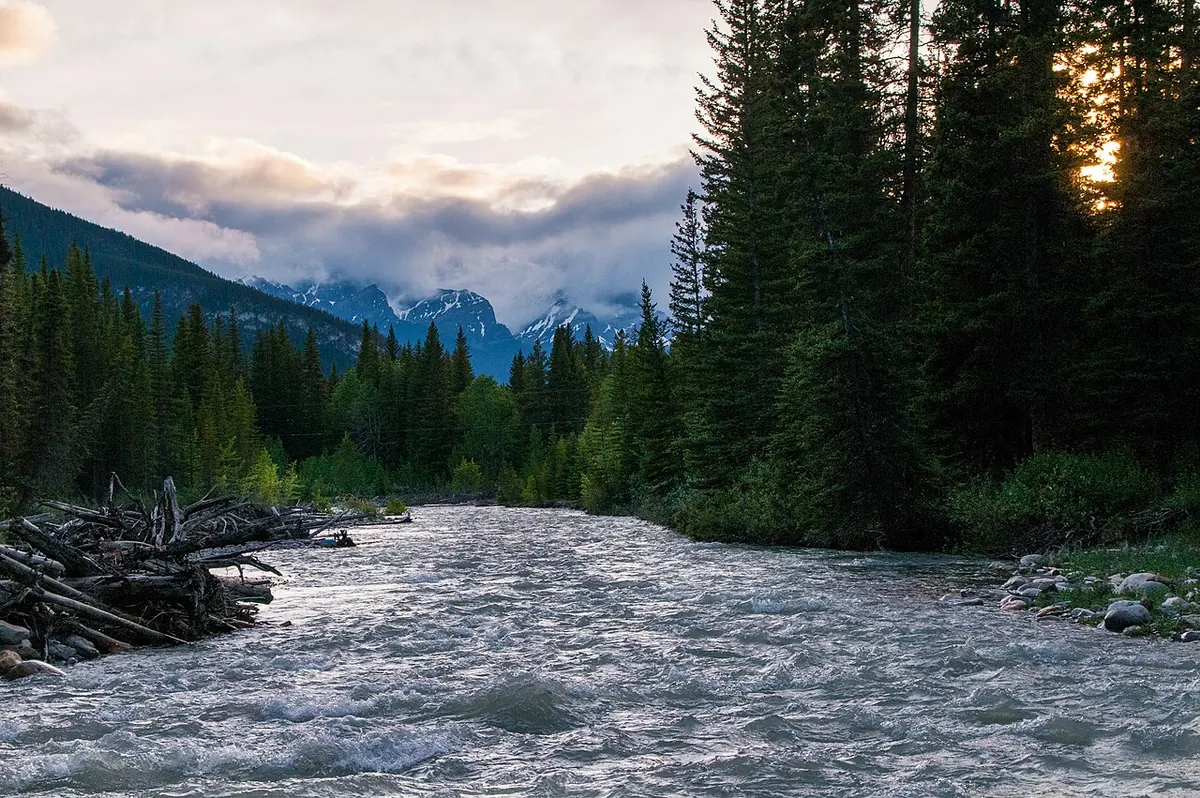 The Bow River just south of Johnston Canyon Campground.