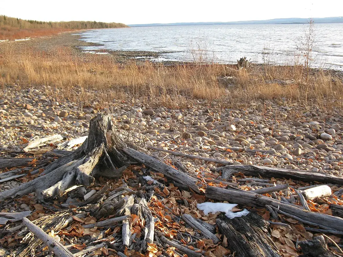 Lesser Slave Lake shore in Lesser Slave Lake Provincial Park.