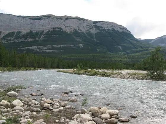 The Snaring River, beside the campground.