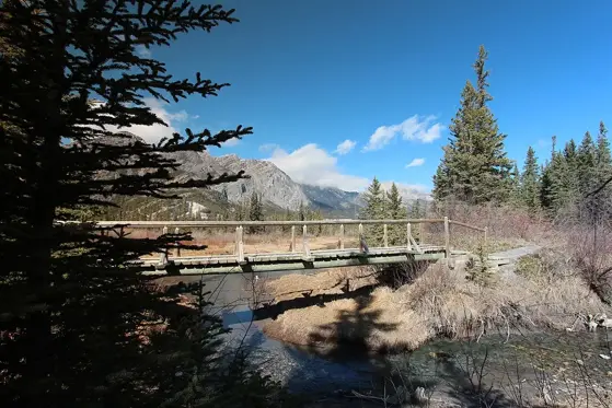 Ponds on the Many Springs trail in Bow Valley Provincial Park.